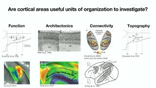 OHBM 2025 | Roundtable | The Fundamental Properties of Brain Organization | Part 1