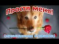 Прости меня если сможешь! - Музыкальная открытка для дорогого человека!