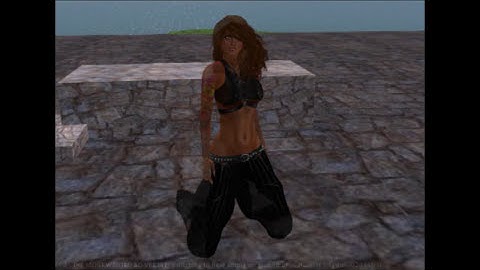 Vista Animations MOCAP The Most Wanted AO for Second Life