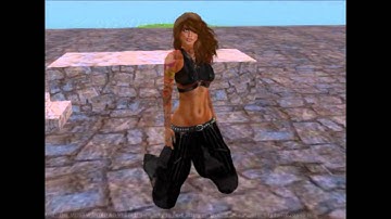 Vista Animations MOCAP The Most Wanted AO for Second Life