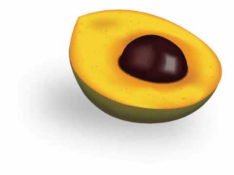 Lucuma Fruit Health Benefits