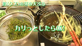 雑草の葛クズの芽を天ぷらで食べる! Eating kudzu stems with tempura