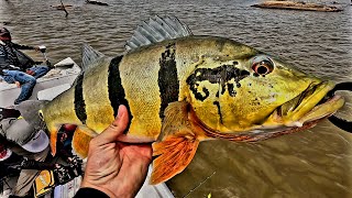 SEMPRE NO FINAL O OURO VEM!!! TUCUNARÉ AÇU @alien_fishing_oficial by ALIEN FISHING 155 views 10 months ago 11 minutes, 26 seconds