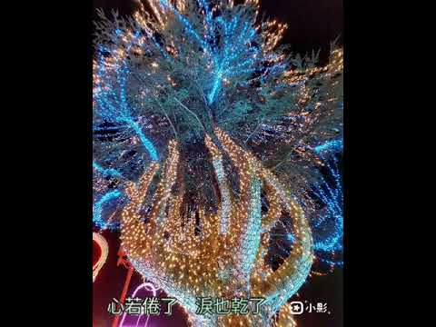 新不了情（伴唱有導音）音圓 1893 金嗓 11160 好樂迪 62650