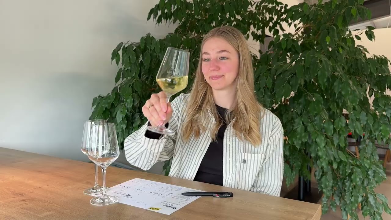 video preview image