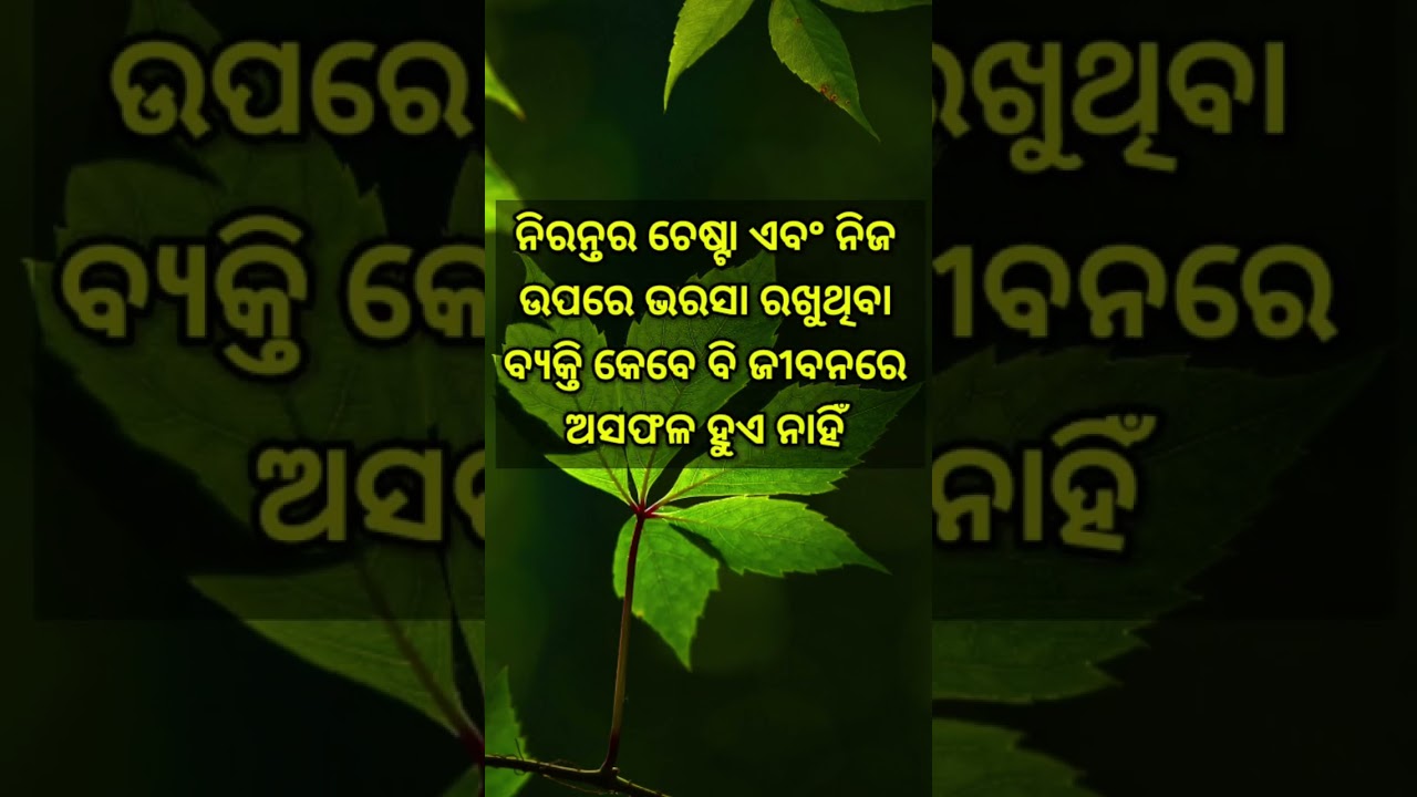 ajira anuchinta odia good morning status odia WhatsApp status odia quotes shorts YouTube