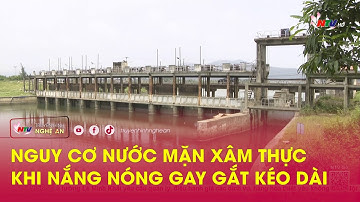 Nguy cơ nước mặn xâm thực khi nắng nóng gay gắt kéo dài