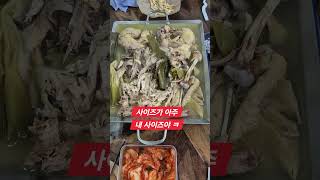 #속초조pd #속초먹거리 #속초맛집 #맛집 #고성먹거리 #고성맛집 ##고성군스크린골프 #골프존파크토성디파인점 #디파인골프연습장