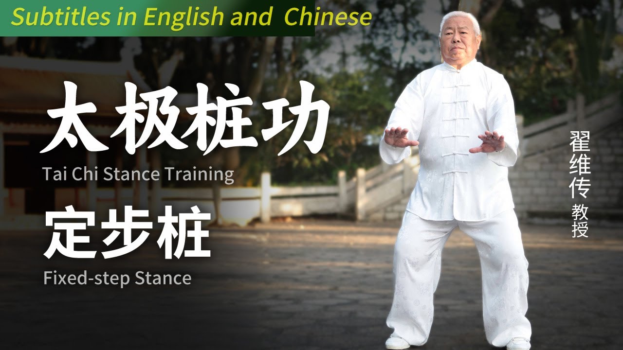 掌门教你太极基本功:桩功Tai Chi Stance Training定步桩Fixed-step Stance - YouTube