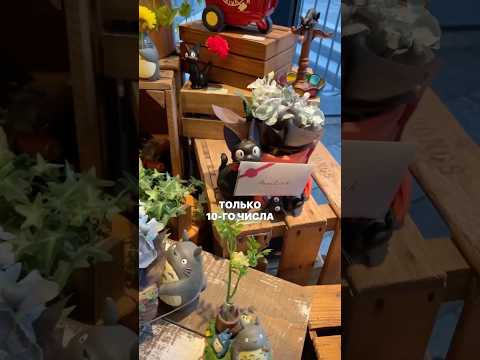 ЧТО НЕ ТАК С БИЛЕТАМИ В ЯПОНИИ? #советыпутешественникам #чтопосетитьвяпонии #япония