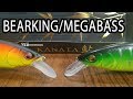 Обзор сравнение Bearking Kanata 160F и Megabass Kanata 160F! Появилась и у Медведей!