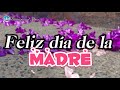 FELIZ DIA DE LA MADRE 💕Un hermoso mensaje para ti 🌷Feliz día mamá