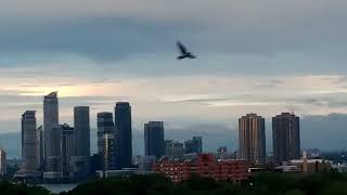 Highlight 9:33:26 - 9:38:26 from 🔴Good evening everyone Sunday 8/23/2026