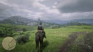 John Marstons Horse Farts While Taking A Dump - Red Dead Redemption 2