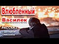 ✔Влюбленный Василек. Новый рассказ 2020, Светлана Тимохина. Детский Христианский Рассказ