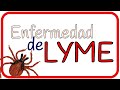 ENFERMEDAD DE LYME– fisiopatología, microbiología, signos y síntomas, diagnóstico y tratamiento