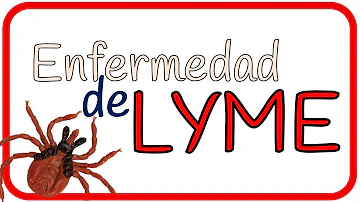 ¿La enfermedad de Lyme afecta a los ojos?