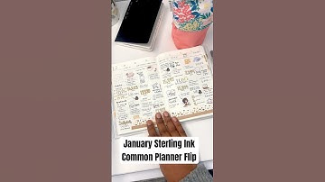 January Flip-through | Sterling Ink Common Planner