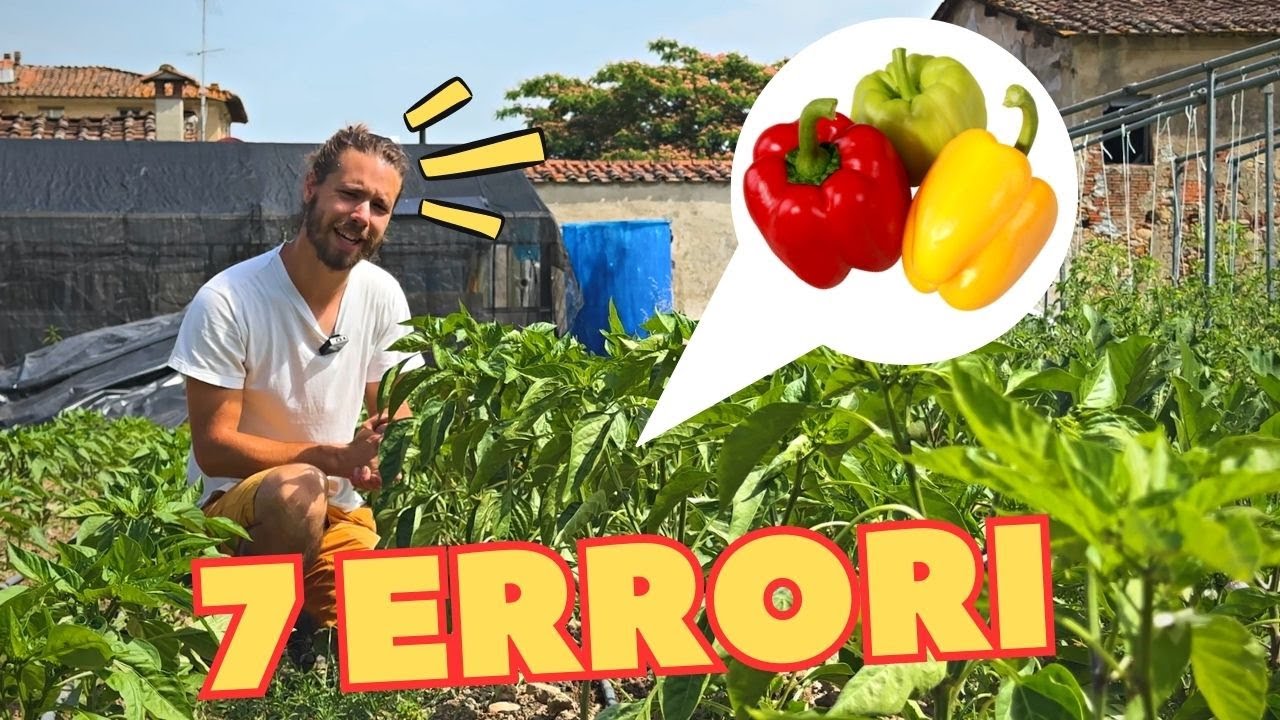 PEPERONI: 7 ERRORI DA EVITARE per raccolti abbondanti🫑