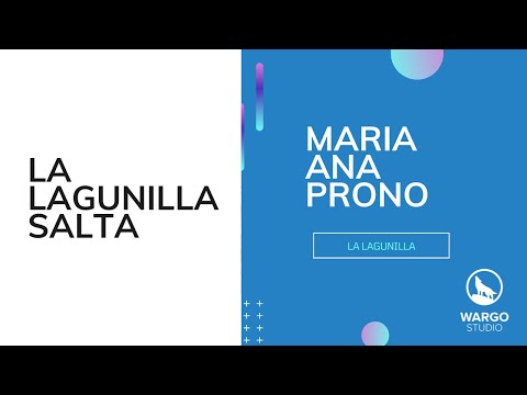 Testimonio de cliente Wargo Studio 14