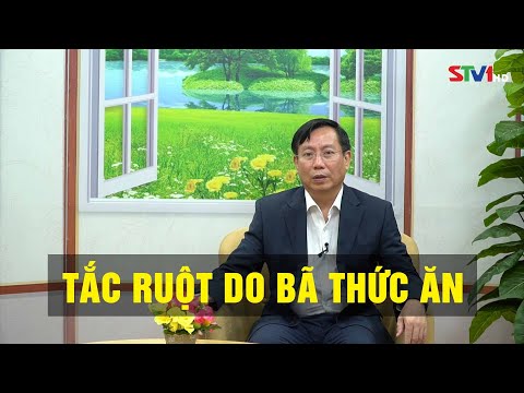 Chương trình Sống khỏe 360: Tắc ruột do bã thức ăn