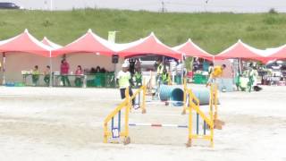 20170429四国ブロックJP3 カレン