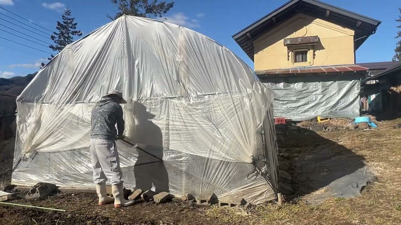 【2026年始動】育苗ハウスのビニール貼り