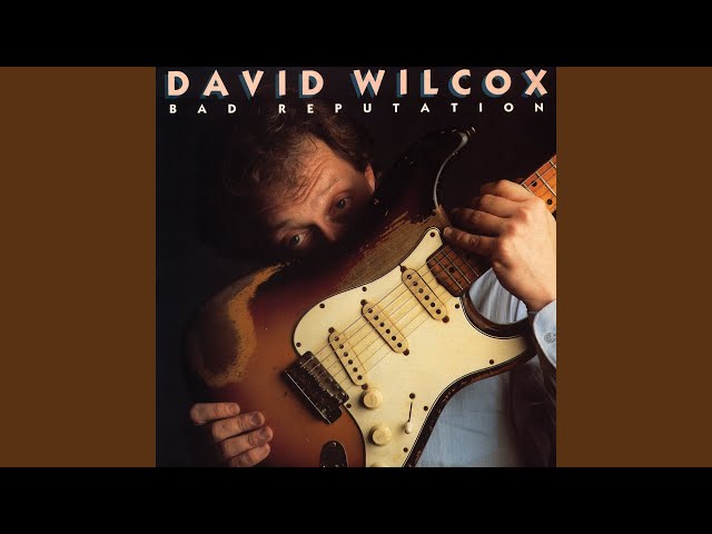 Bad Reputation - David Wilcox