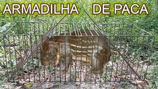 A ARMADILHA MAIS FUCIONAL DO MOMENTO