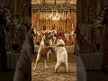 Cat and Dog Dance Together… Cutest Performance Ever! ❤️