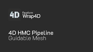 12. Guidable Mesh