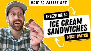 How to Freeze Dry Ice Cream Sandwiches | Quick How-To Guide | Settings | Freeze Dried Business