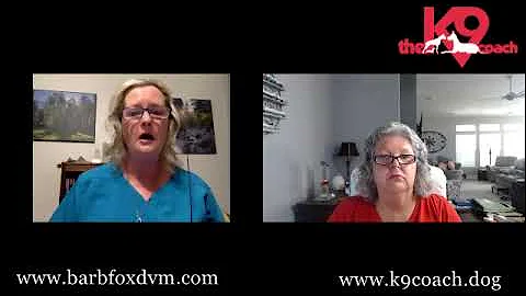 Dana Brigman Barb Fox Emotions and Animals