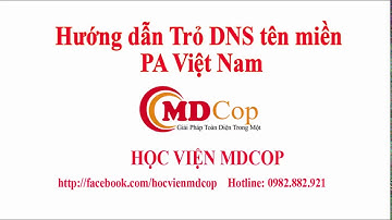 Hướng dẫn trỏ DNS cho tên miền PA Việt Nam