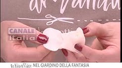 Nel giardino della fantasia 1