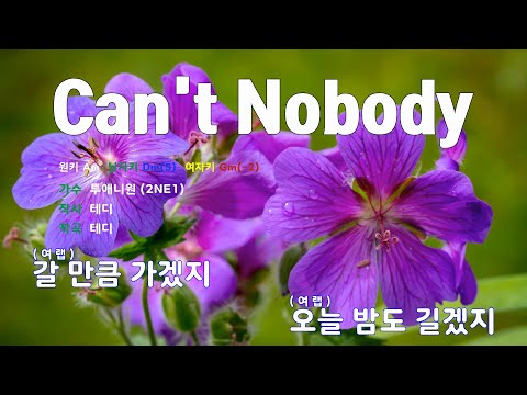 [은성 반주기] Can't Nobody - 투애니원(2NE1)