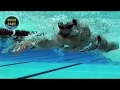 New! Perfect Freestyle Ian Thorpe High Quality