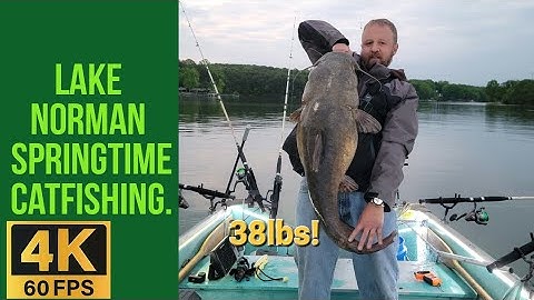 Lake Norman springtime catfishing