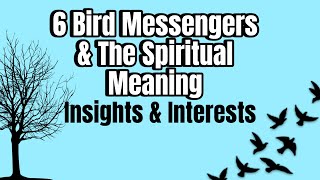 6 BIRD MESSENGERS & THE SPIRITUAL MEANING BEHIND THEM WITH LADY VASORI