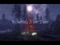 Syberian New Year - Trailer