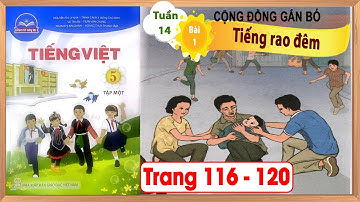 Tiếng Việt lớp 5 chân trời sáng tạo bài 1 tuần 14 - Tiếng rao đêm