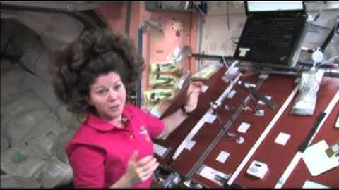 Pondering the Pendulum