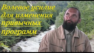 Орлин. Волевое усилие для изменения своей жизни за 1 год