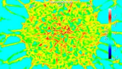 Global collapse of a Molecular Cloud