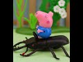 George and Peppa Pig&#39;s Pets, Part 2, Shorts, Peppa Pig TV, New Peppa