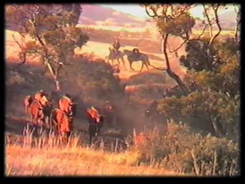 Ranker Video