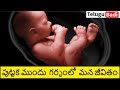 Life Inside the Womb in Telugu  | 9 Months Life Before Birth