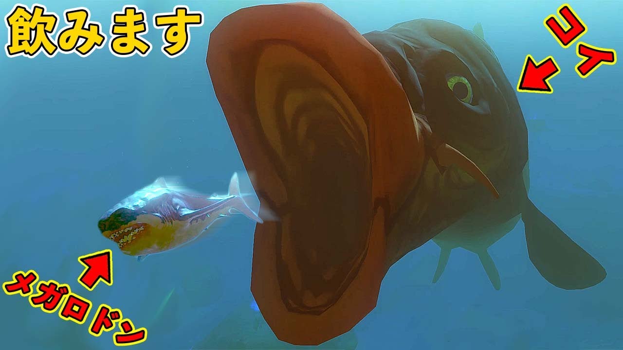 巨大コイキングを作ってメガロドンを飲み込みます【Feed and Grow Fish】