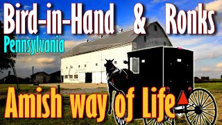 Amish way of life, in Bird-in-Hand and Ronks PA