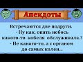 Весёлые Анекдоты!   Две подруги  делятся  секретами!  Юмор  шутки  приколы!